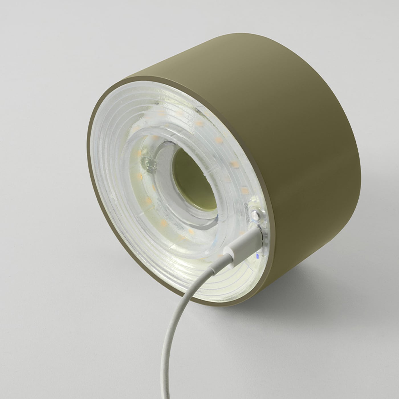 Foscarini Fleur Lampada ricaricabile