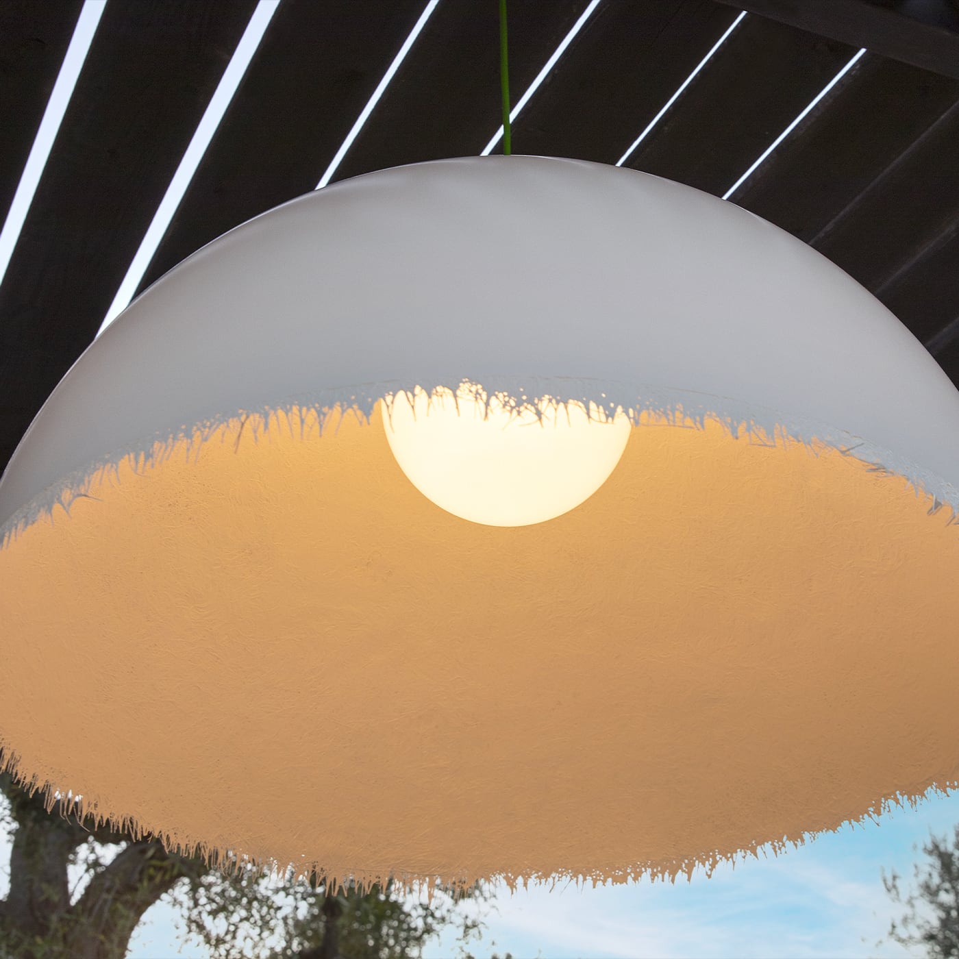 Karman Plancton Sospensione