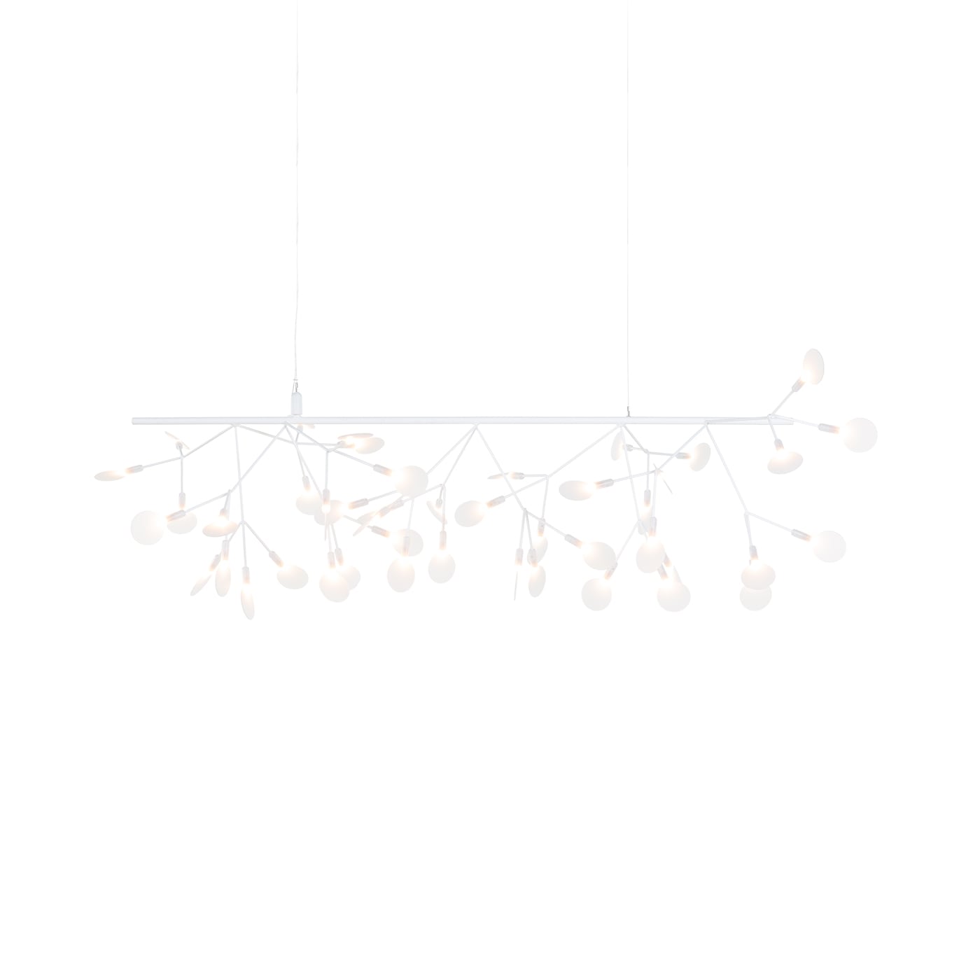 Moooi Heracleum III Endless