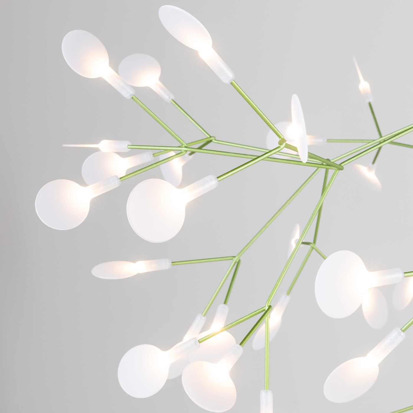 Moooi Heracleum III Suspended
