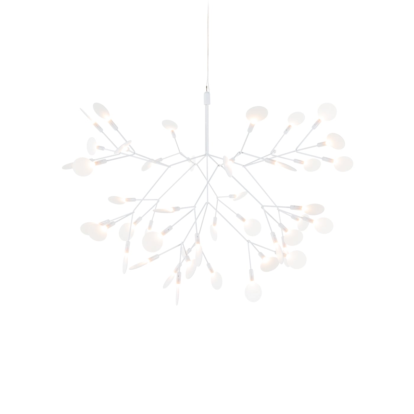Moooi Heracleum III Suspended
