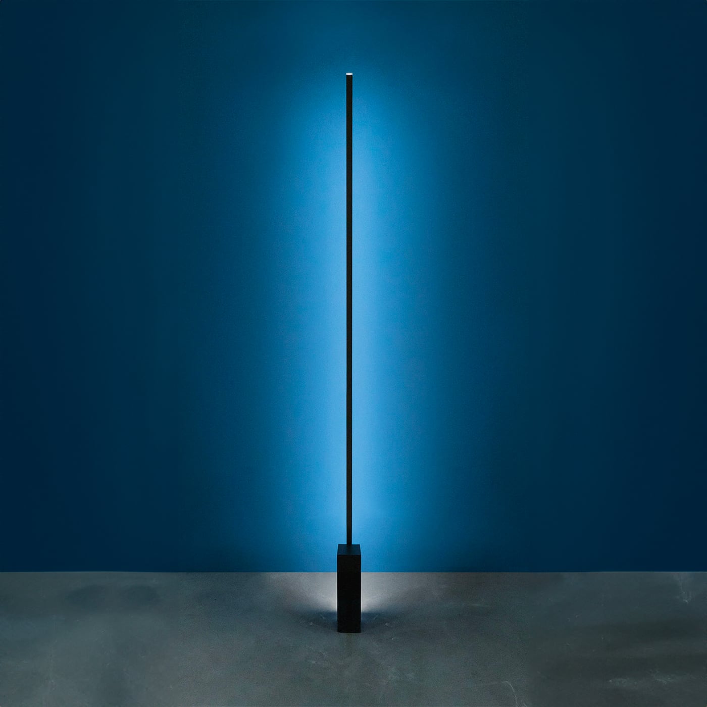 Nemo Linescapes Piantana