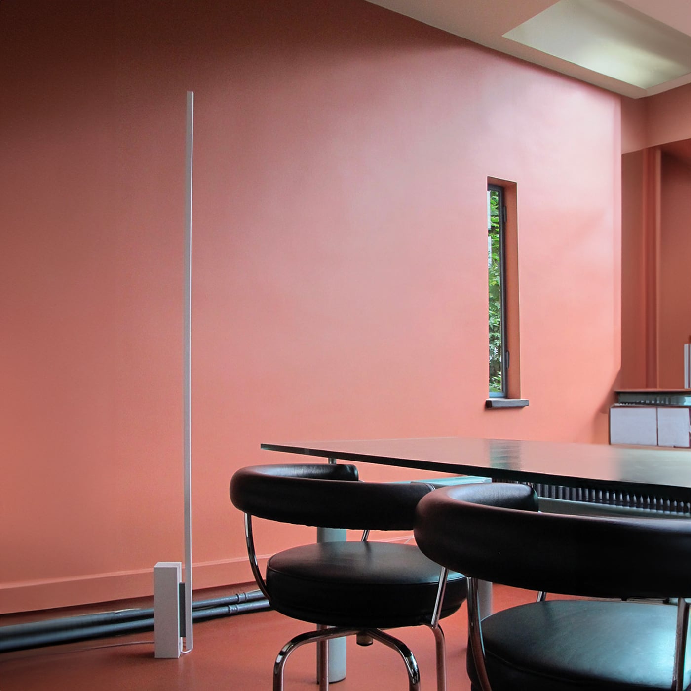 Nemo Linescapes Piantana