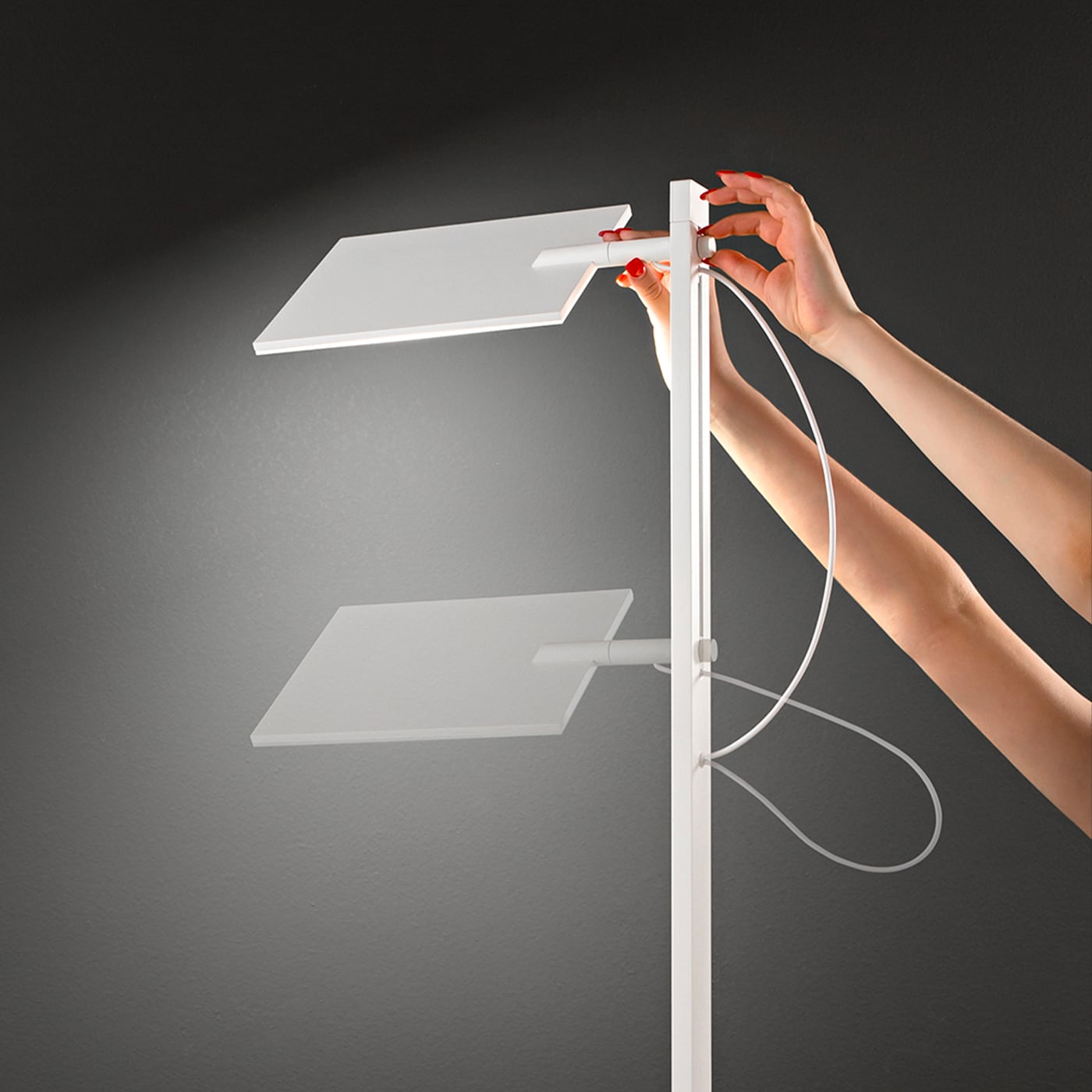 Perenz Radiante Piantana