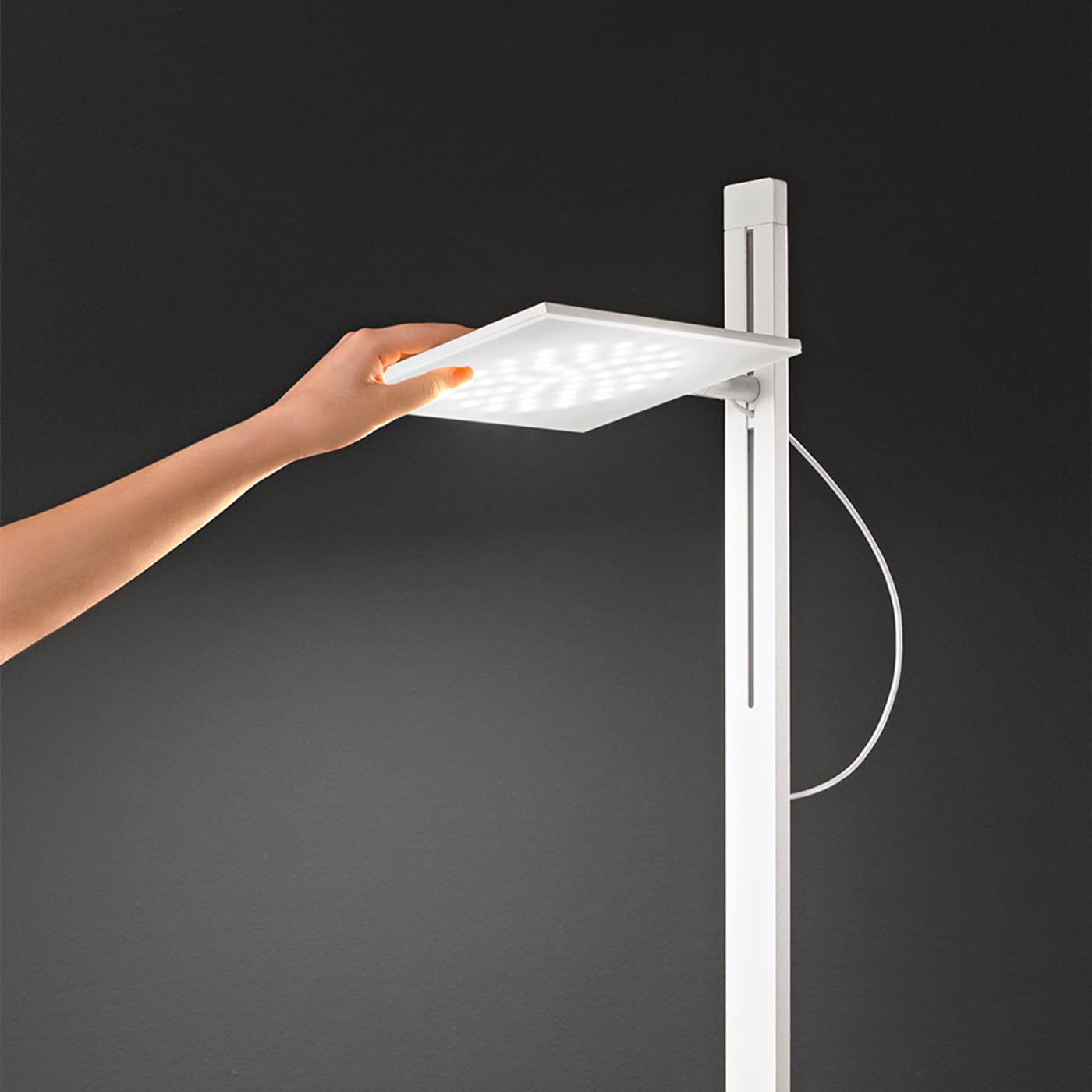 Perenz Radiante Piantana