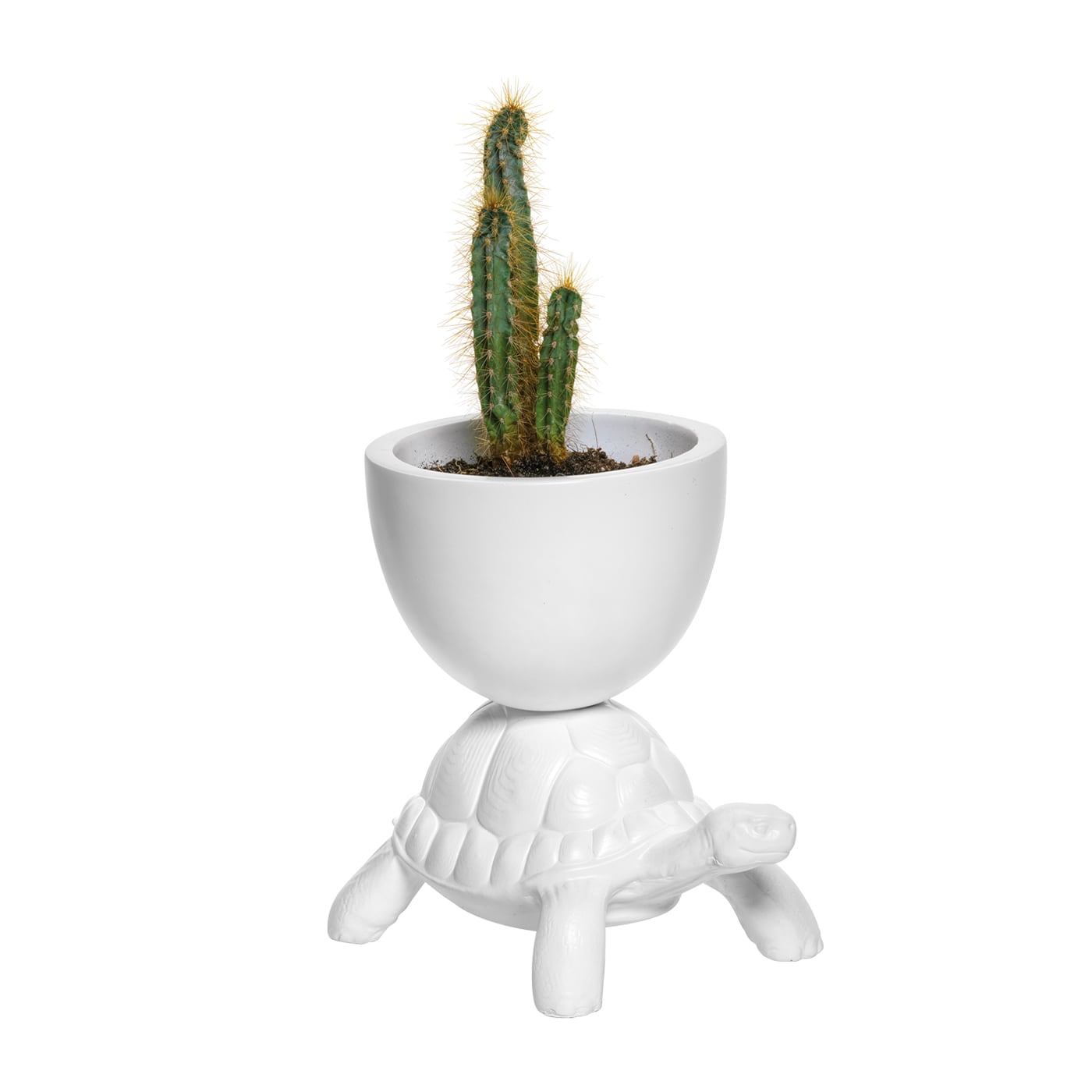 Qeeboo Turtle Carry XS Vaso Bianco