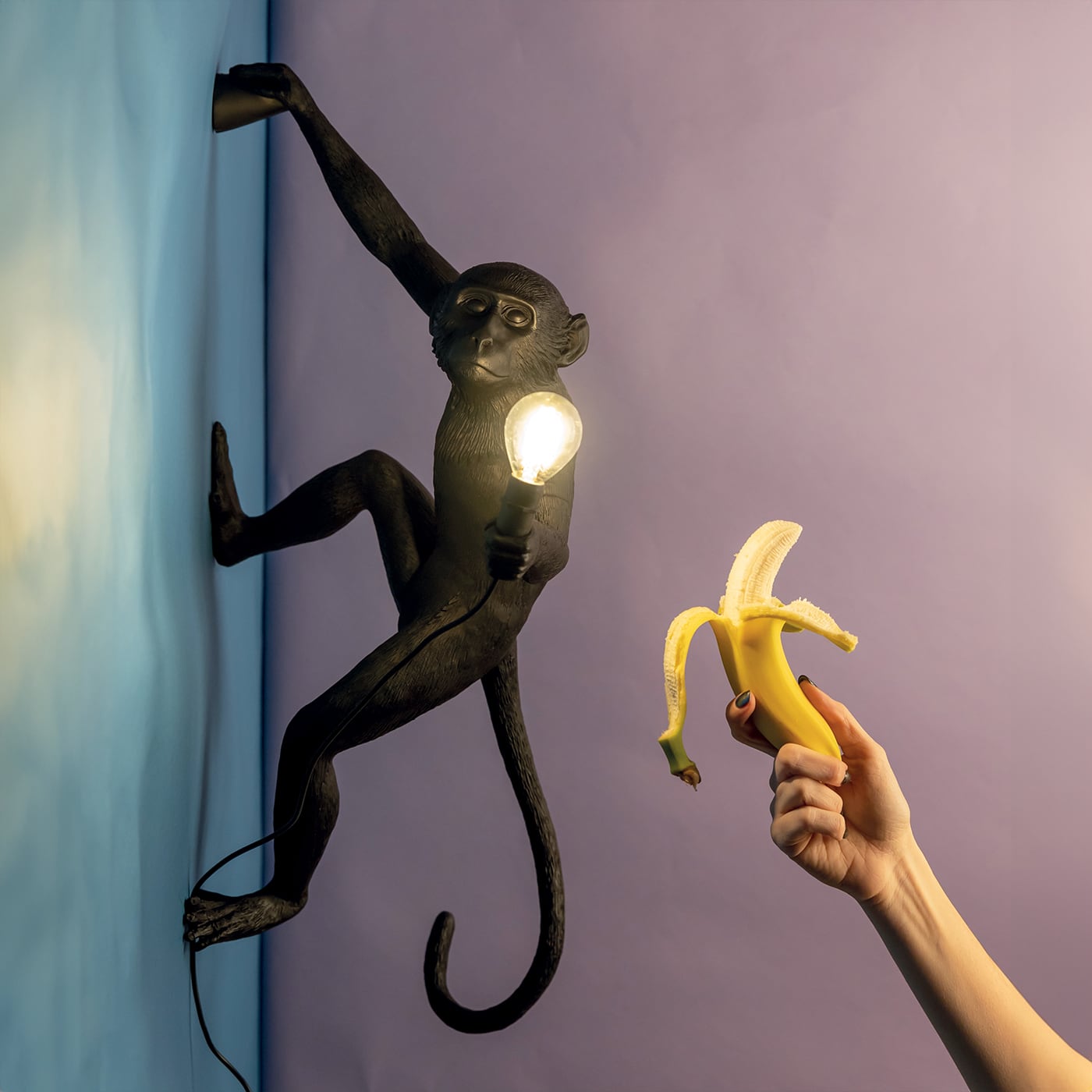 Seletti Monkey Hanging Lampada a parete