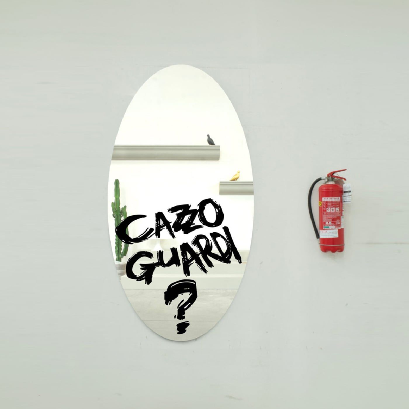 Sturm Milano Cazzoguardi Specchio