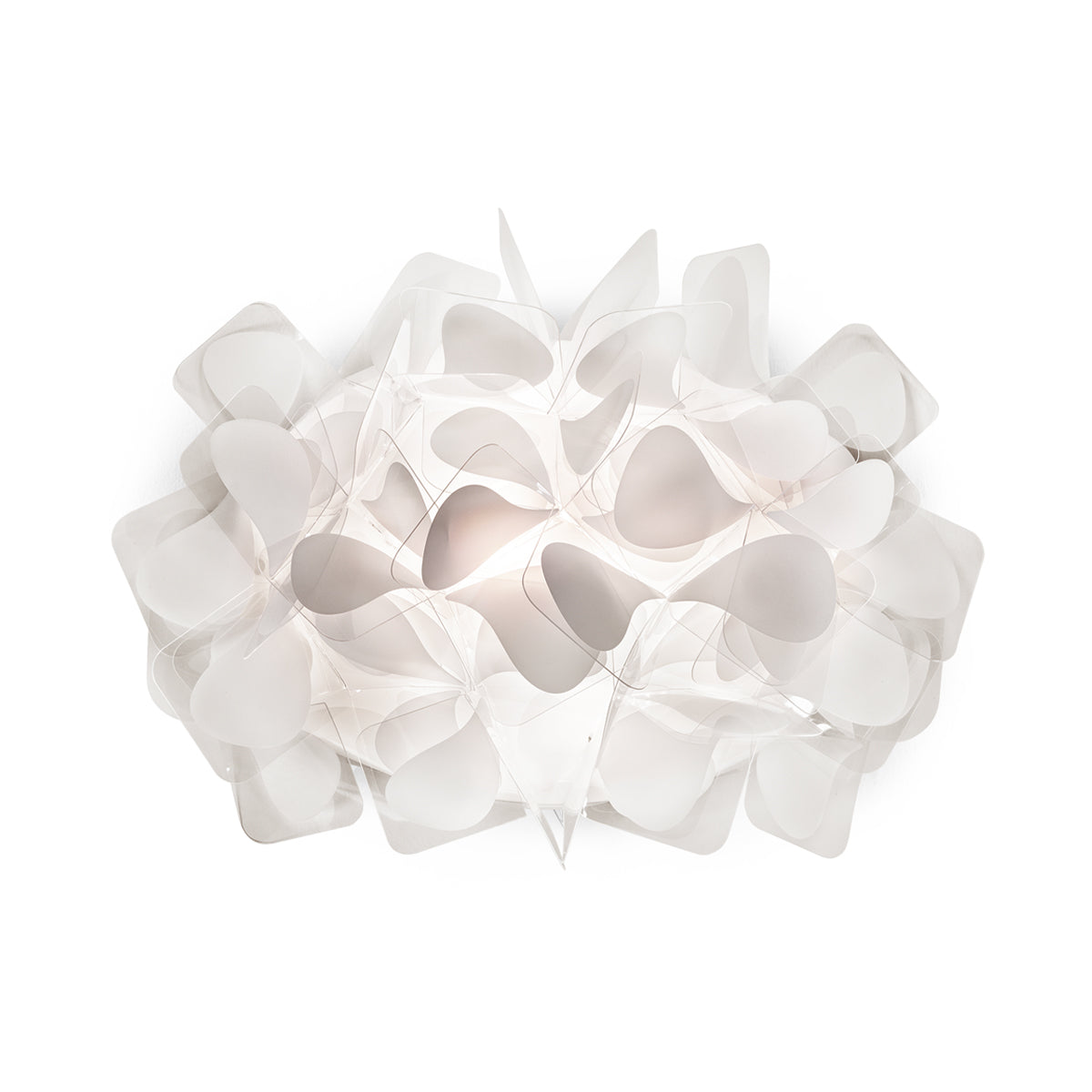 Slamp Clizia Mama non Mama Applique