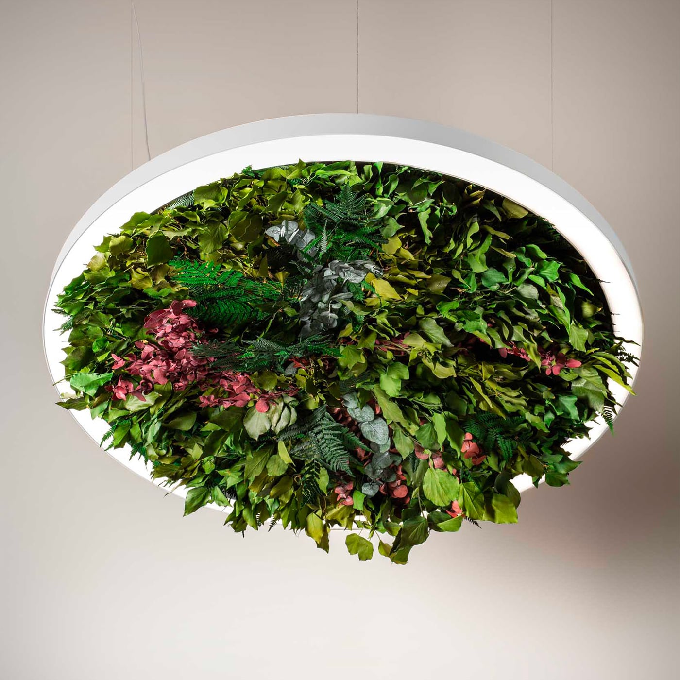 Olev Gavin Silence Sospensione