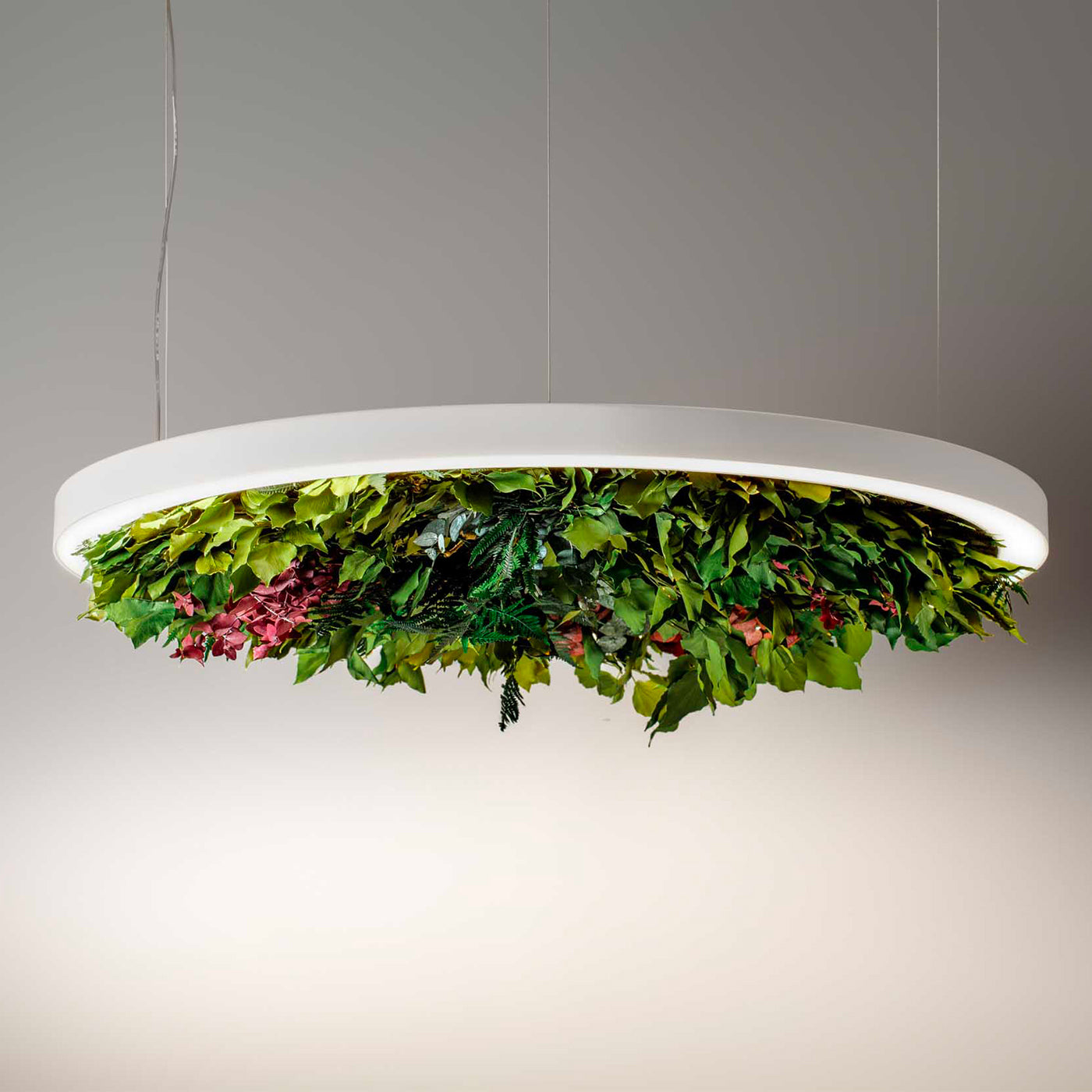 Olev Gavin Silence Sospensione