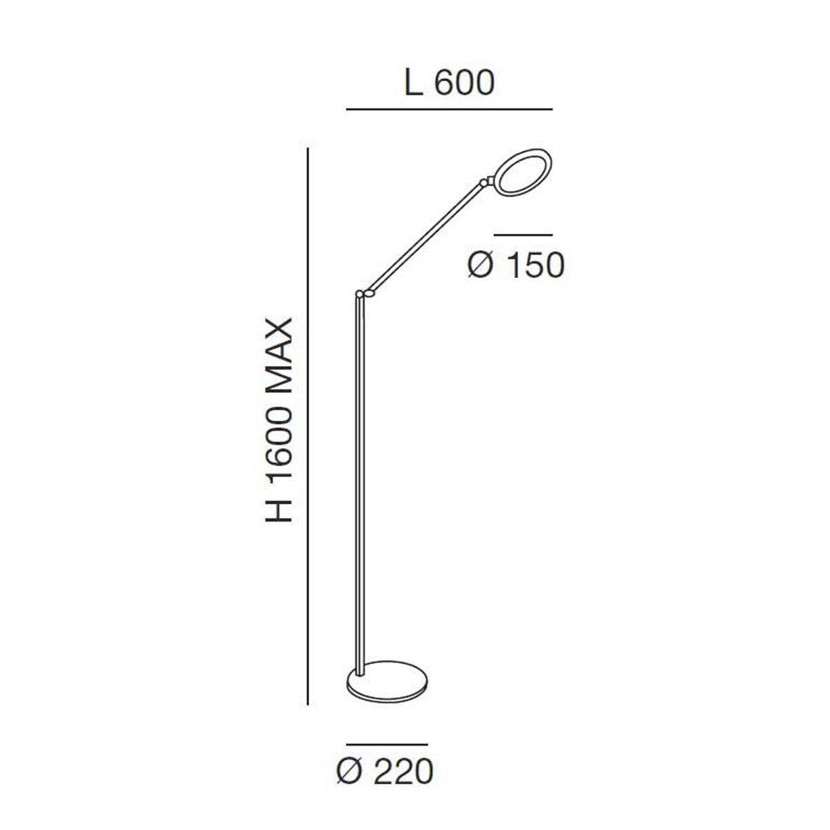 Fabas Regina Piantana