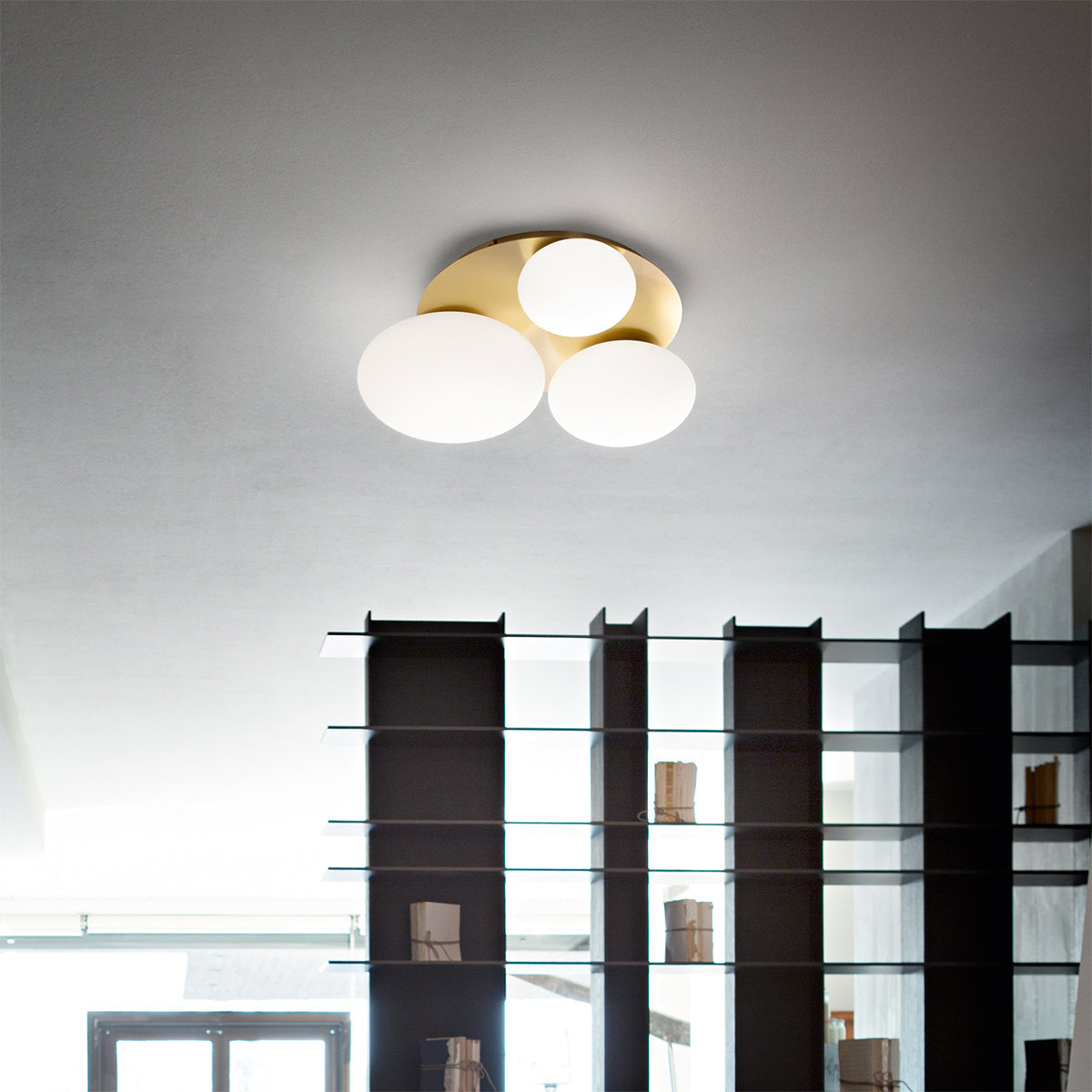Ideal Lux Ninfea Plafoniera