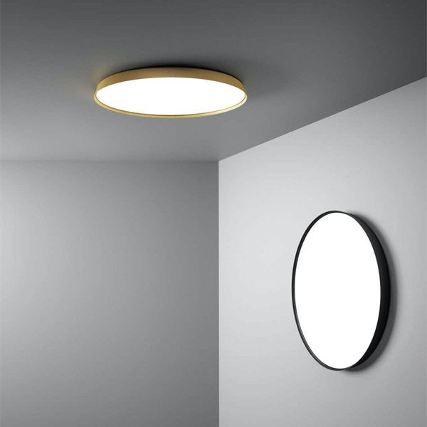Luceplan Compendium Plate Plafoniera Applique