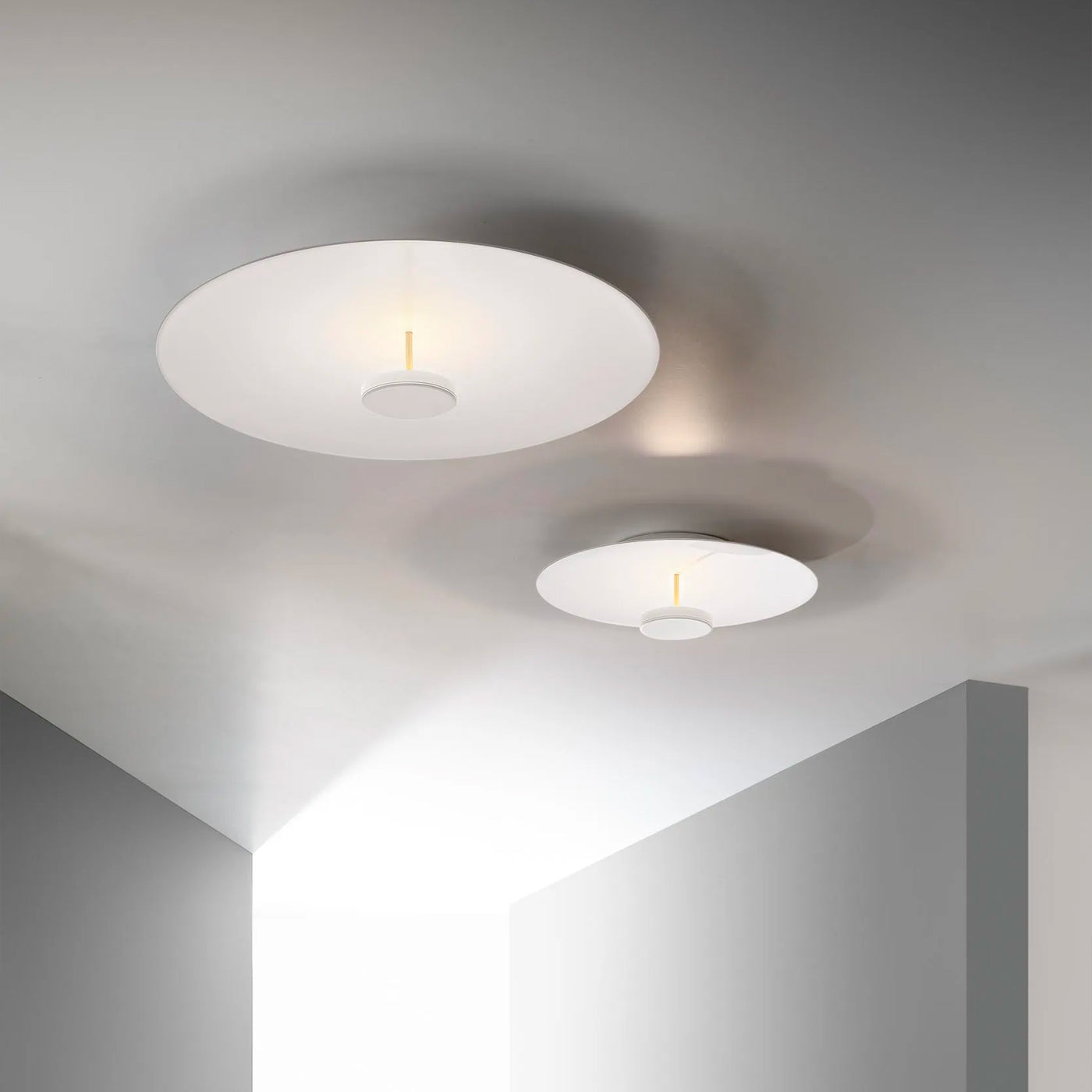 Olev Overfly Plus Plafoniera