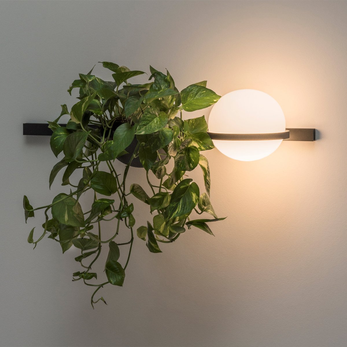 Vibia Palma Applique Lineare