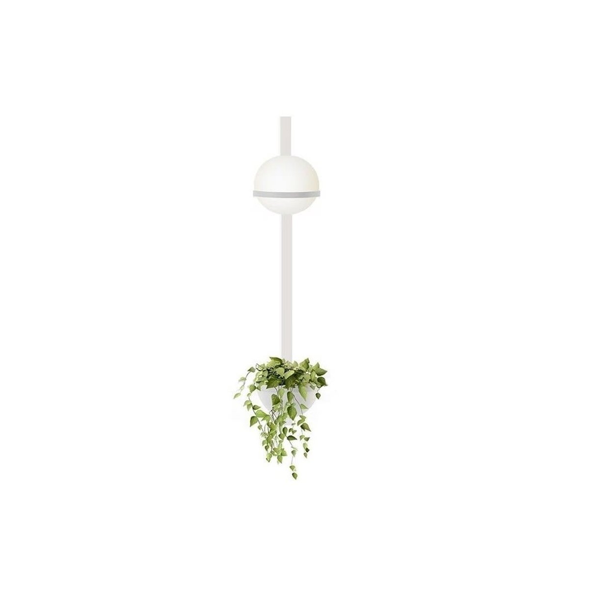 Vibia Palma Applique Verticale