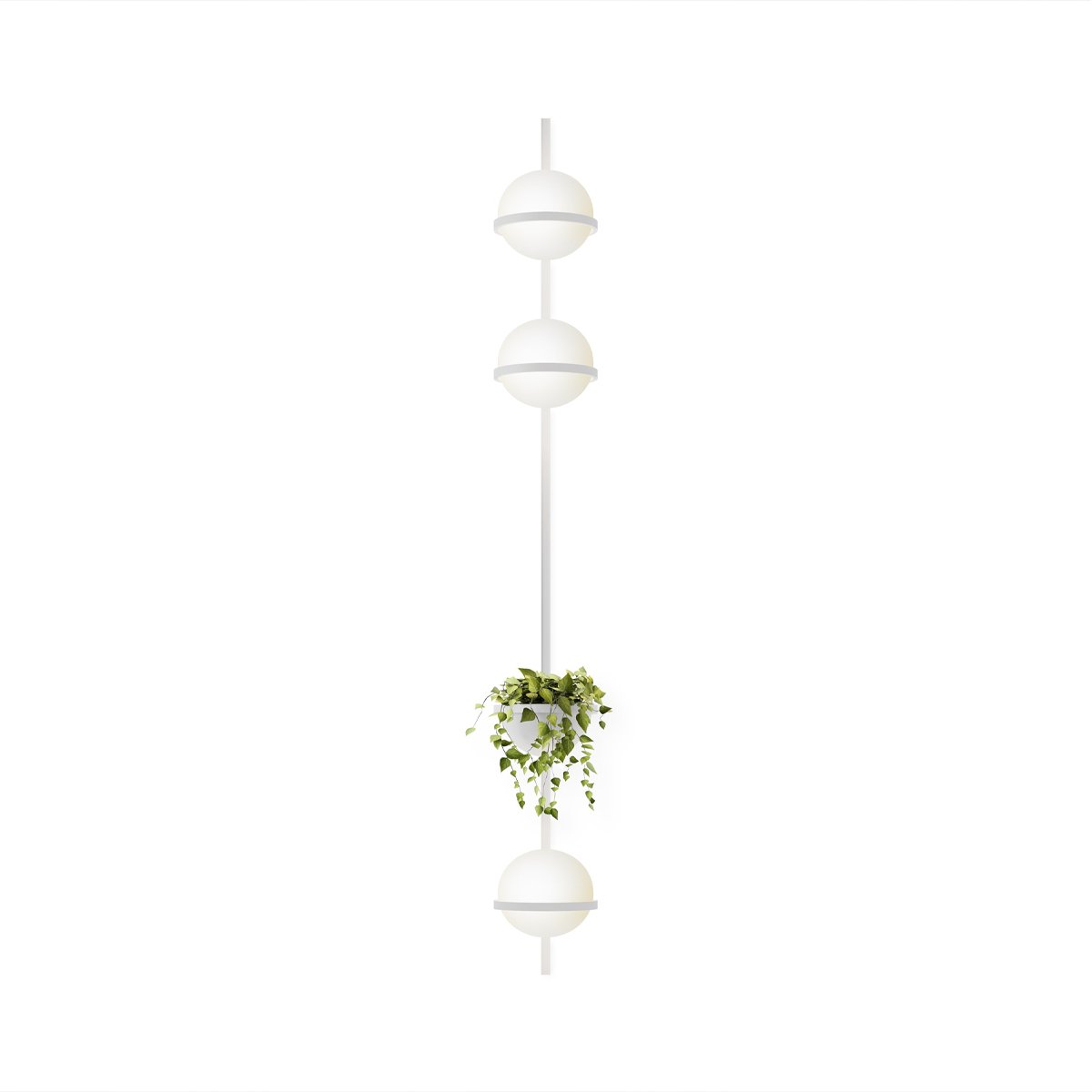 Vibia Palma Applique Verticale
