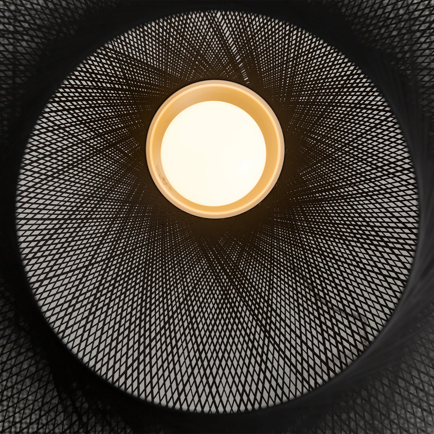 Moooi Non Random Sospensione