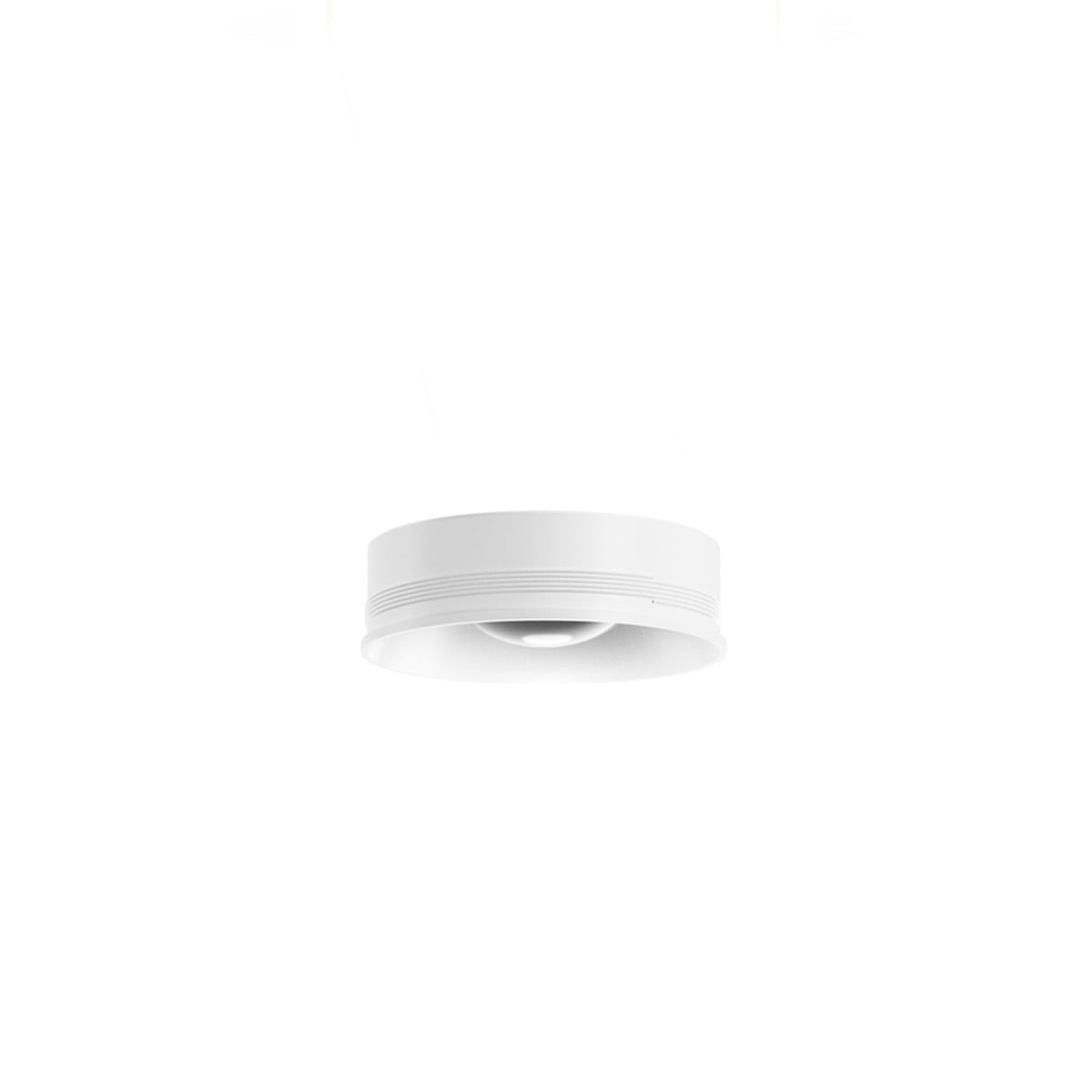 Panzeri 432 Ways Lente