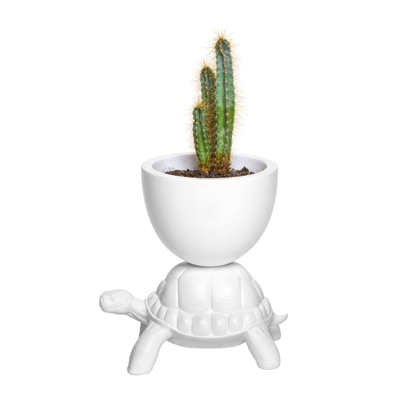 Qeeboo Turtle Carry XS Vaso Bianco