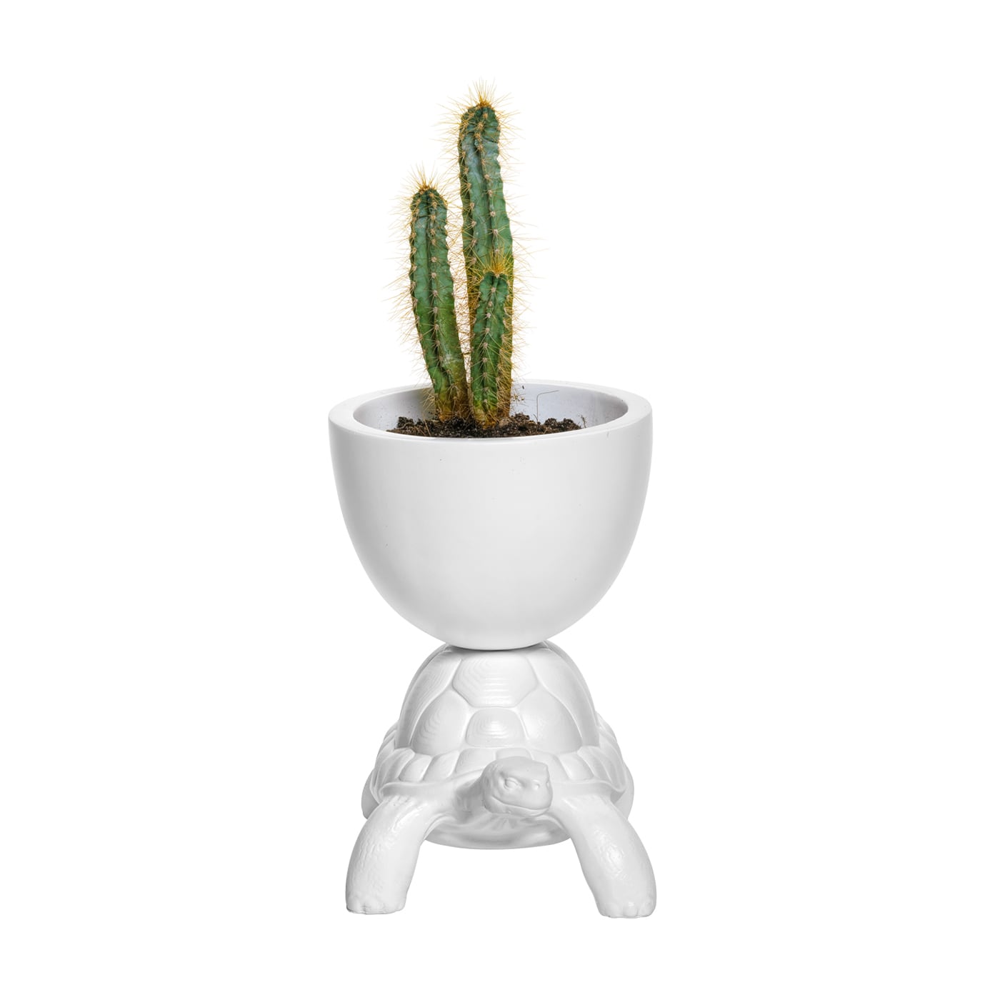 Qeeboo Turtle Carry XS Vaso Bianco
