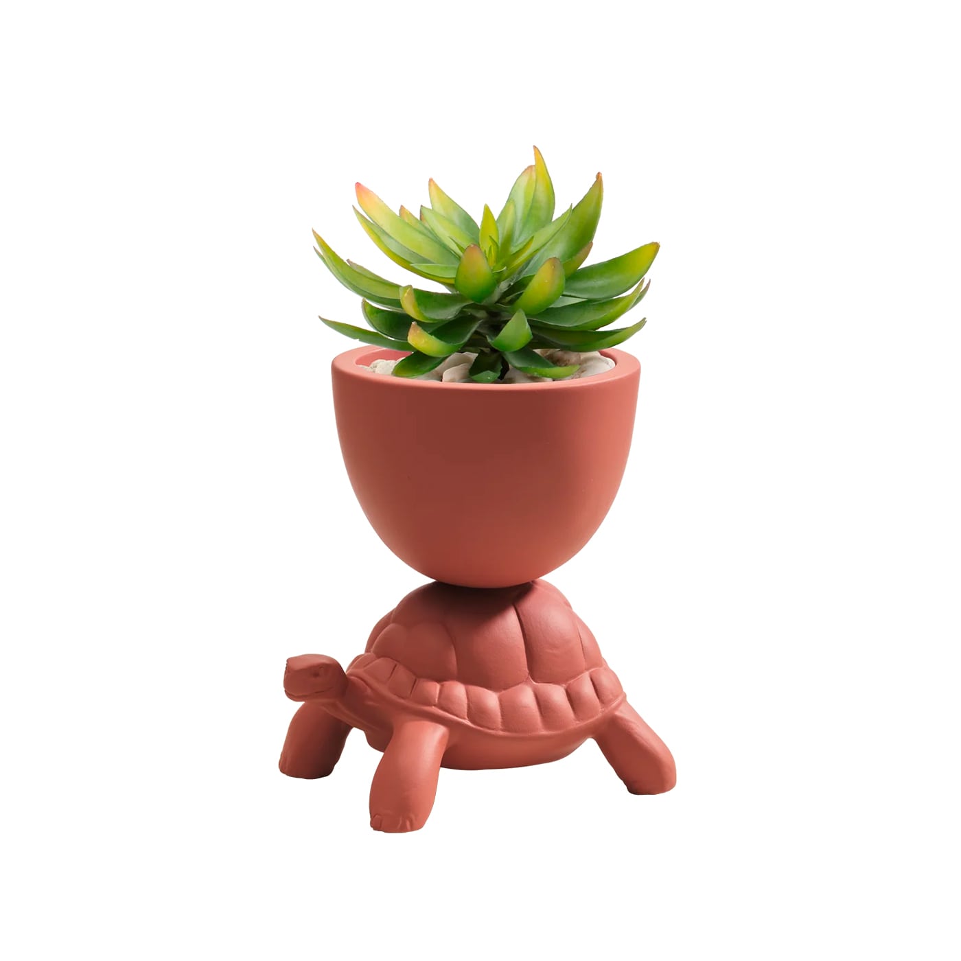 Qeeboo Turtle Carry XS Vaso
