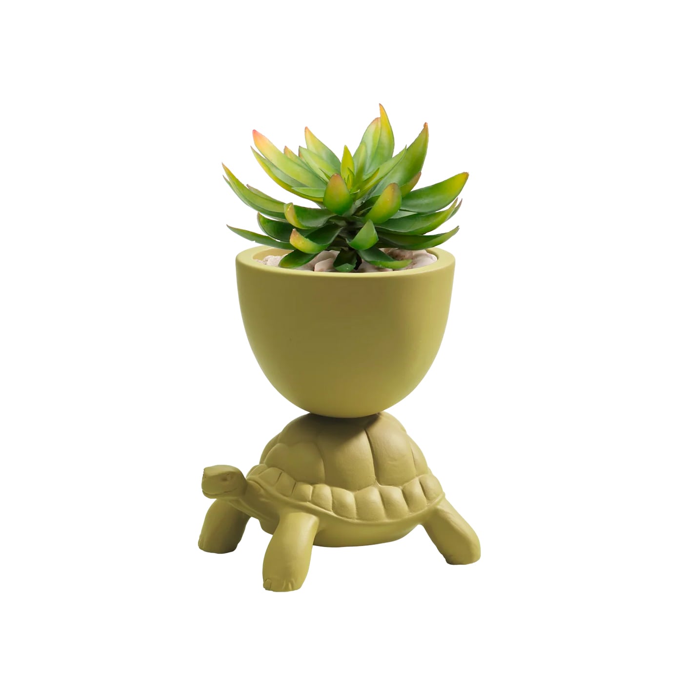 Qeeboo Turtle Carry XS Vaso