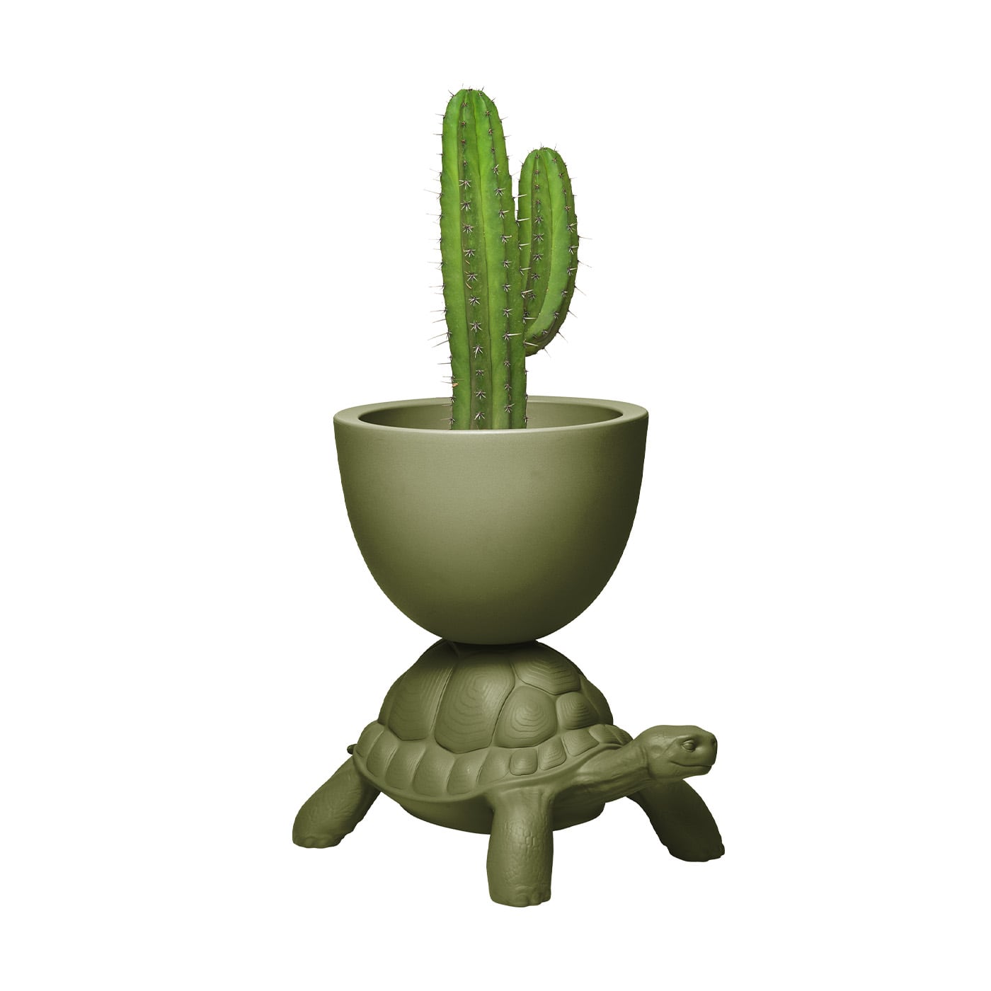 Qeeboo Turtle Carry Vaso in polietilene