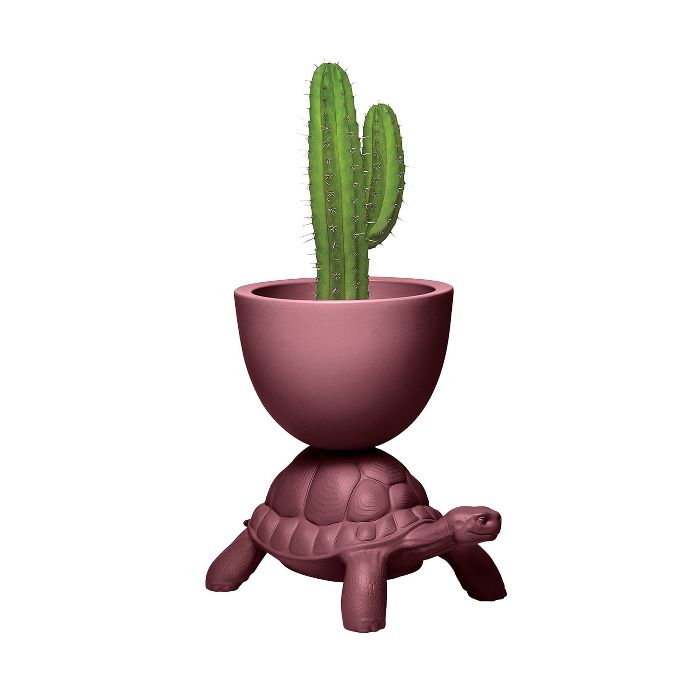 Qeeboo Turtle Carry Vaso in polietilene