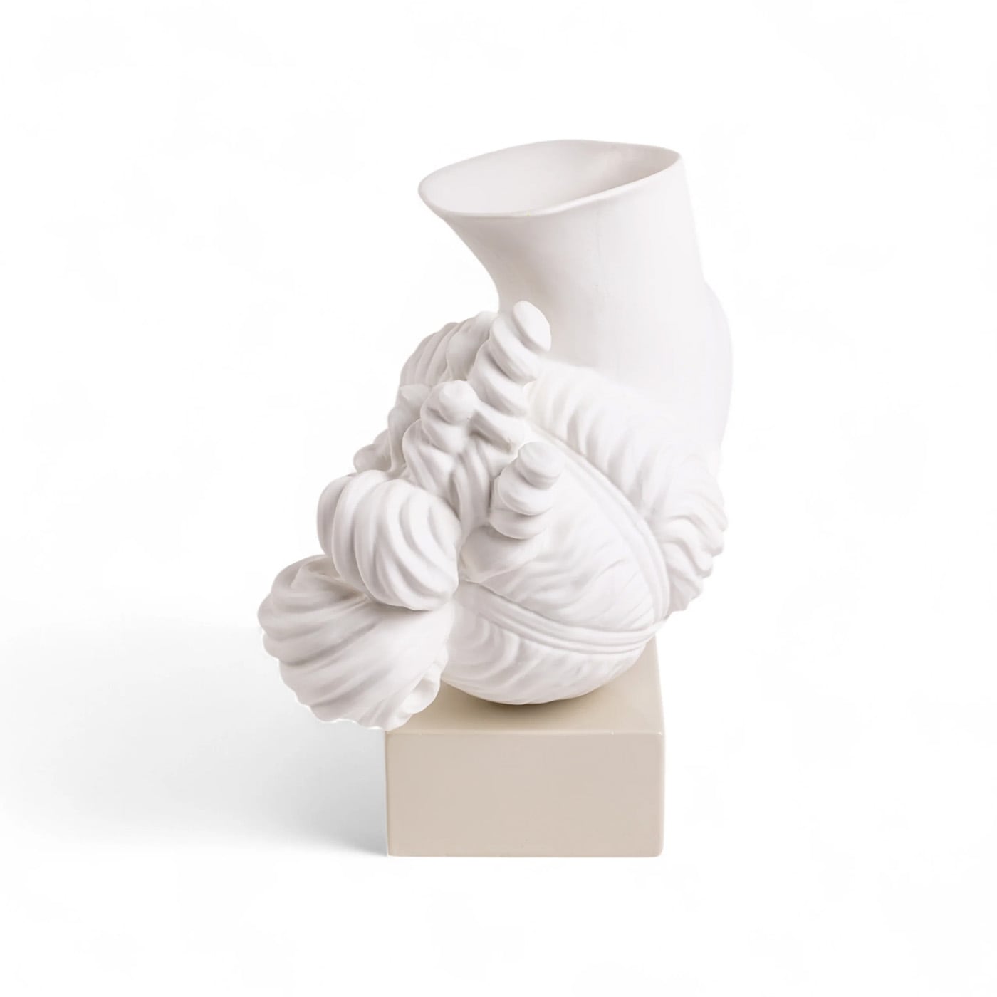 Seletti Amor Volat Vaso