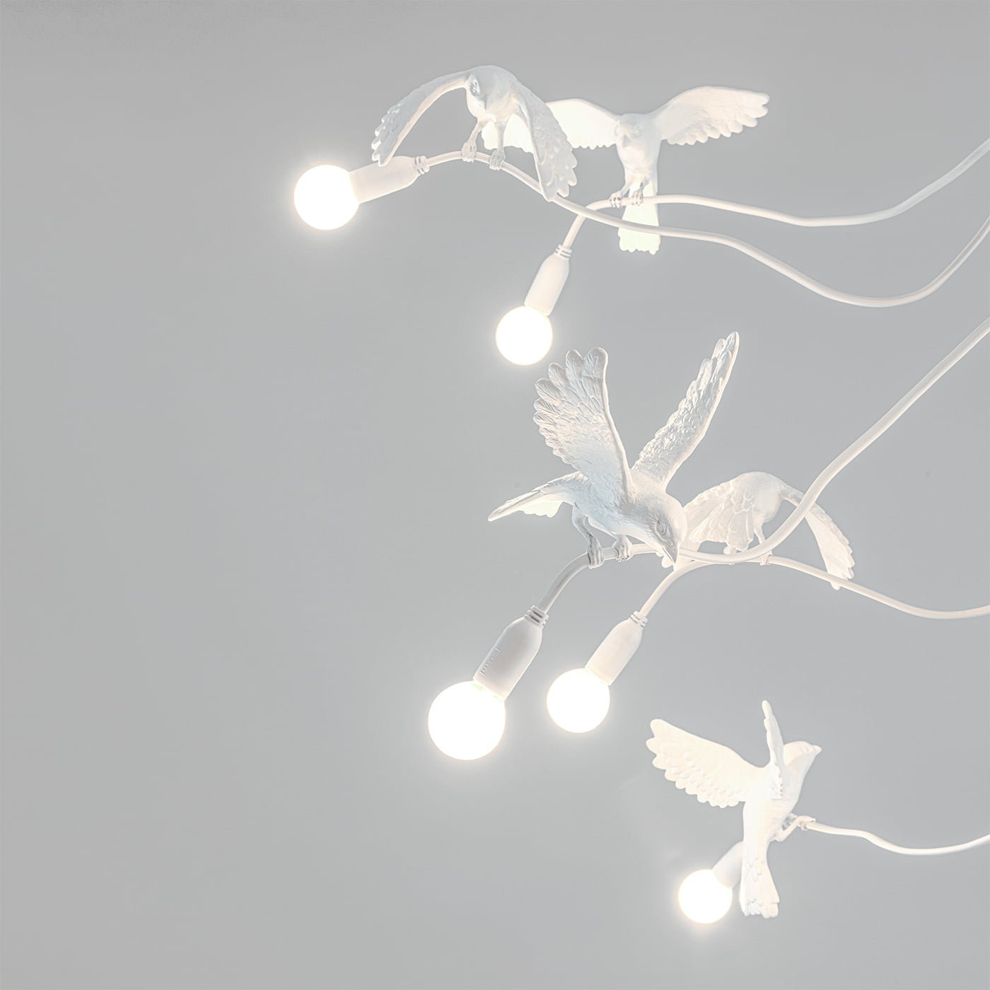 Seletti Sparrow Chandelier