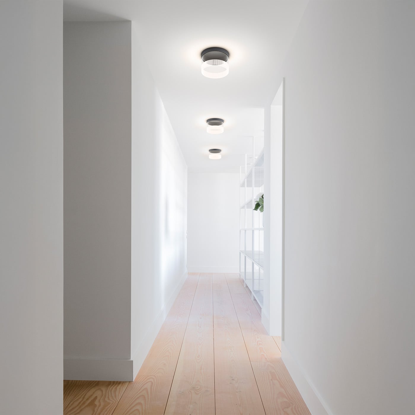 Vibia Guise Plafoniera