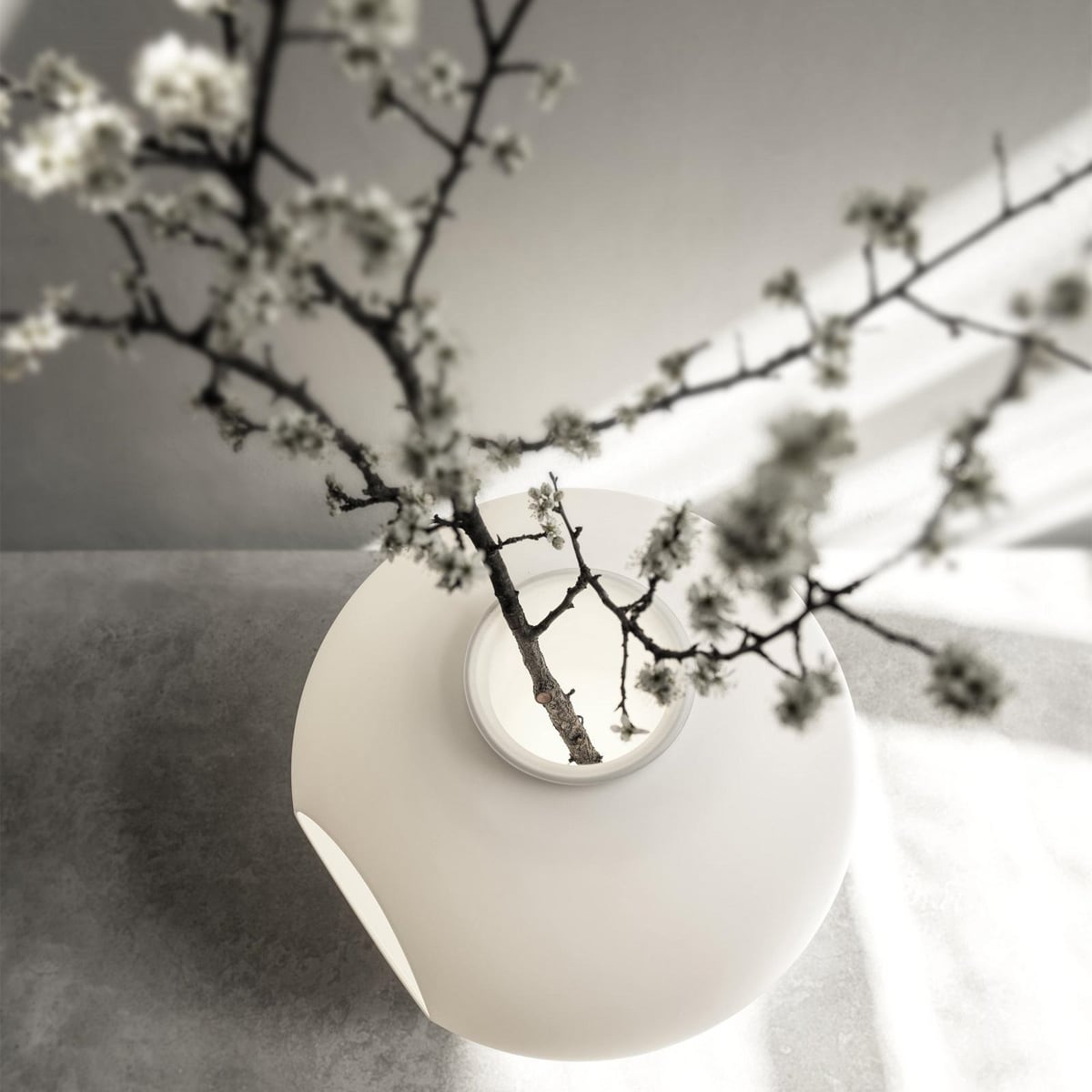 Foscarini Madre Lampada da tavolo